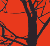 red by Denitza